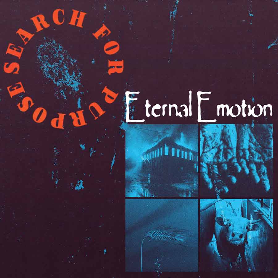 SEARCH FOR PURPOSE Eternal Emotion Repurposed LP